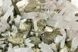 Striated Pyrite Crystals with Quartz - Peru #369840-1